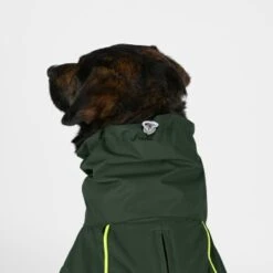 THE DOG IDEA Regenmantel Duke Oliv XXXS -Ruffwear Verkäufe 2024 fd2364507d13208f0dfb53580f4e7682cd0706c2 1472982 de DE d6f8d4469c008e7a592e2b81a1d6ba627a395316i6UdR9