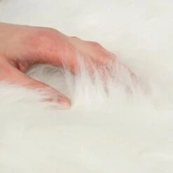 Canadian Cat Company Filzlounge AVA Beige M -Ruffwear Verkäufe 2024 fd8b746ad0dc996bb62efc39f6c670f6be8df30e 1360999 de DE c86a4e6d9ceba2c1e55f3f753eeda095c89215723XoDPL