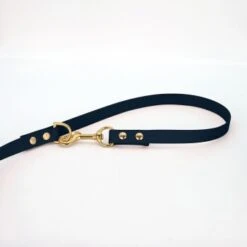 THE DOG IDEA Biothane Hundeleine Gold Navy -Ruffwear Verkäufe 2024 fdd14f7a195cd7ad9996c568ba5182a18c51c314 1655430 de DE ca7fc5b51cbd0eb0b6ccc17b649b0a7c82011aa2TSAFPk