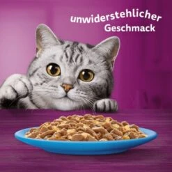 Whiskas Jumbo Pack 1+ Fisch Auswahl In Gelee 80 X 85g -Ruffwear Verkäufe 2024 fec7c318dfc6872c65e754a2b3bf40ee0b91811b 1410724 de DE Whiskas 6