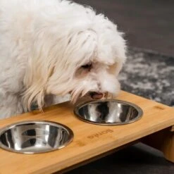 Lionto Erhöhte Futterstation Aus Bambus Braun/ Silber S -Ruffwear Verkäufe 2024 ff2eba128a0d6b75a70cc824dc213b8dd85d734a 1665921 de DE e23b5a688ebe67bbe1f23e079b16083d61ef18cdlFh9kV